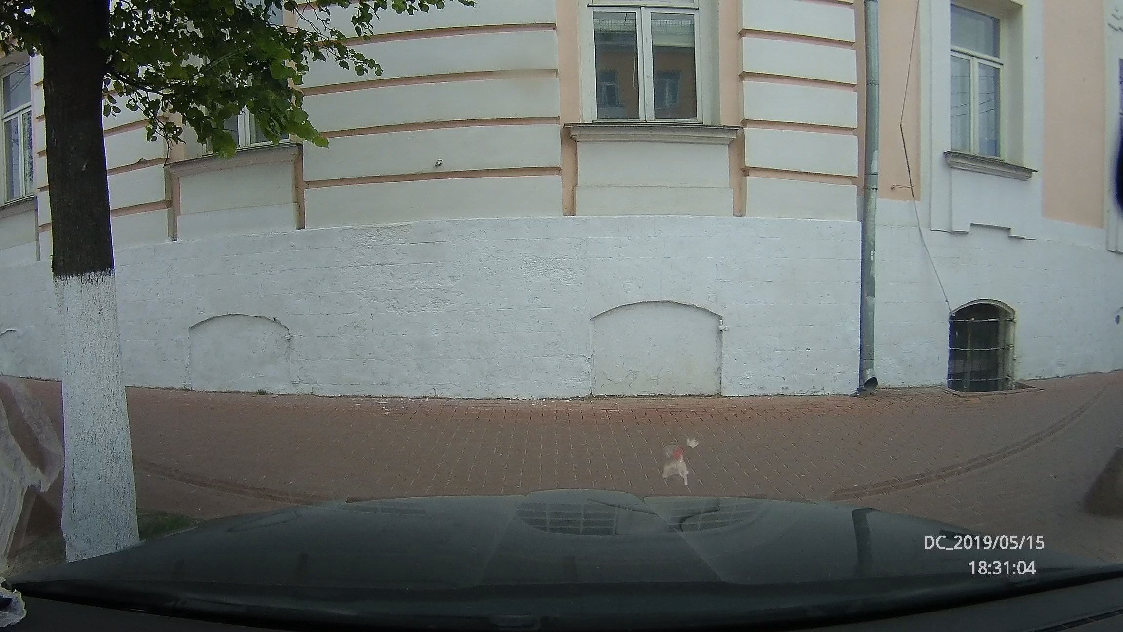 DRF_20190515_183038.MOV_snapshot_00.27.jpg