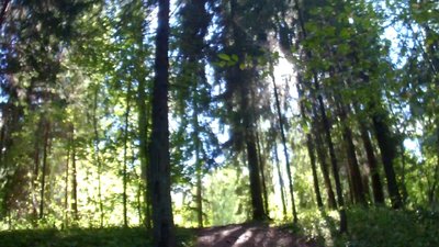 Frame 2015.08.15 17-23-52 (0-00-24.560).jpg